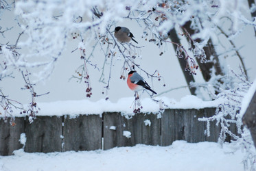 Similar image 21871924