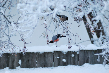 Similar image 21871925