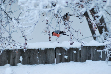 Similar image 21871926