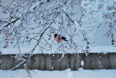 Similar image 21871927