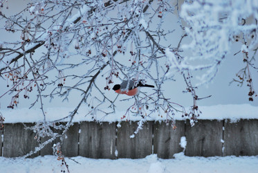 Similar image 21871928