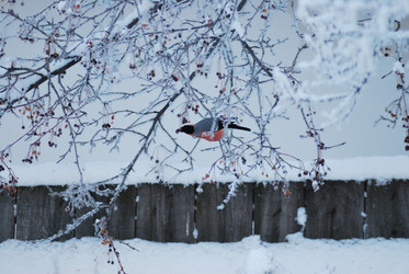 Similar image 21871929