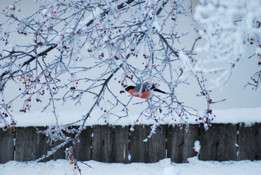 Similar image 21871930