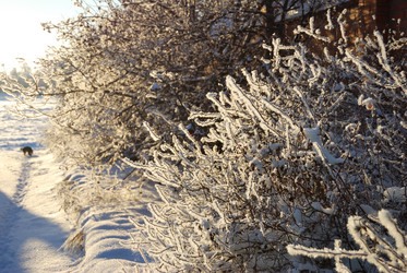 Similar image 21871931