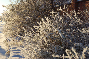 Similar image 21871932