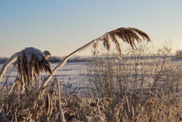 Similar image 21871934