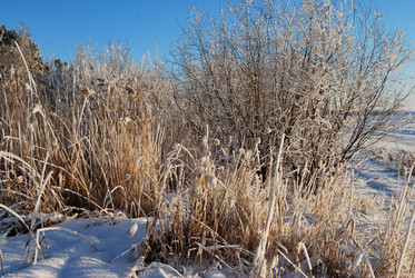 Similar image 21871935