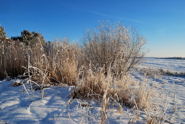 Similar image 21871936