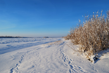 Similar image 21871937