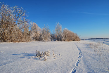 Similar image 21871938