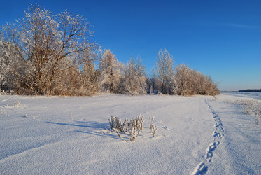 Similar image 21871939