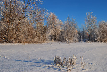 Similar image 21871940