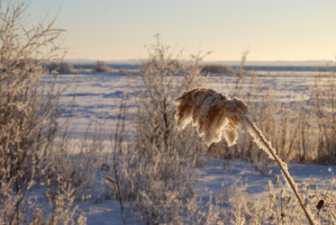 Similar image 21871942