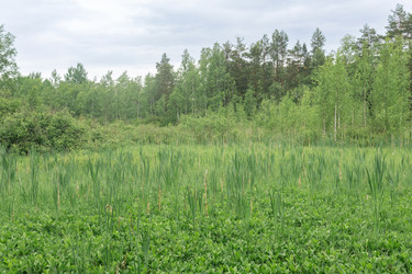 Similar image 21872020