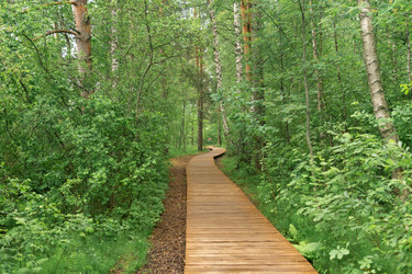 Similar image 21872021