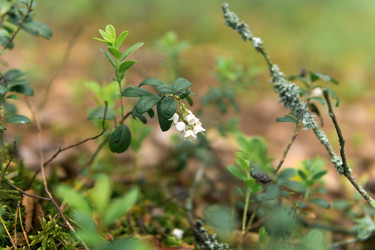 Similar image 21872026