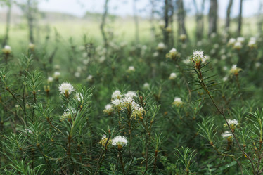 Similar image 21872028