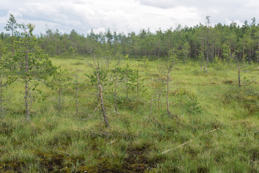 Similar image 21872030