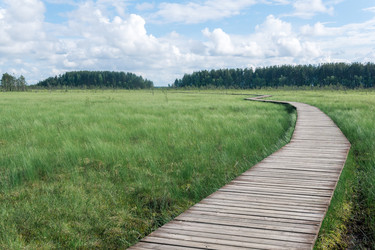 Similar image 21872035