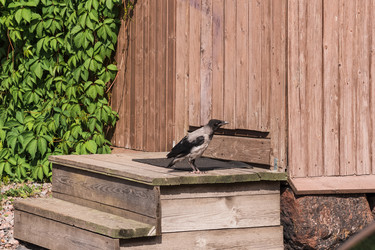 Similar image 21872050