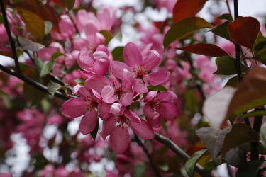 Similar image 21871949