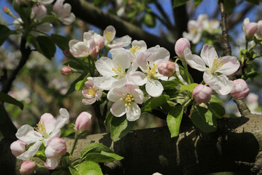 Similar image 21871950