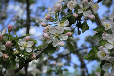 Similar image 21871951