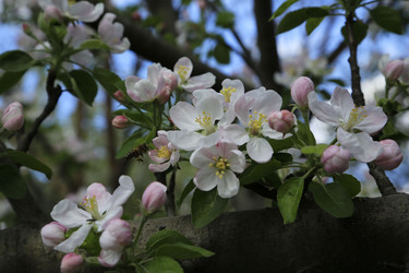 Similar image 21871952