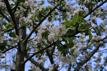 Similar image 21871953