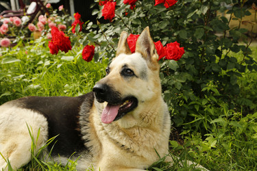 Similar image 21871954