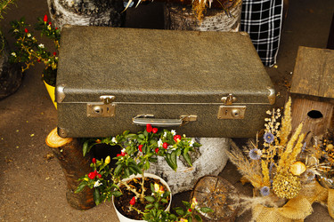 Similar image 21871957