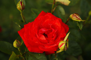 Similar image 21871961