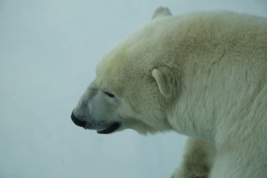 Similar image 21871964