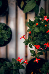 Similar image 21871729