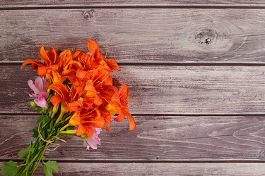 Similar image 21872057