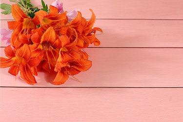 Similar image 21872059