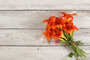 Similar image 21872063