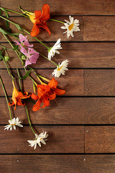 Similar image 21872064