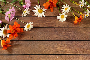 Similar image 21872065