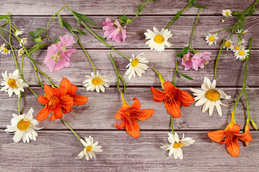 Similar image 21872066