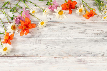 Similar image 21872070