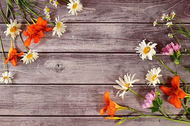 Similar image 21872072