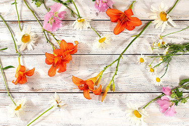 Similar image 21872073