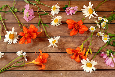 Similar image 21872076