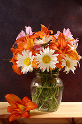 Similar image 21872079