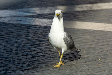 Similar image 21872422