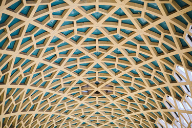 Similar image 21877981