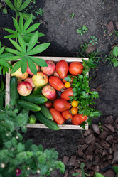 Similar image 21872500