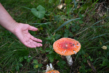 Similar image 21872509