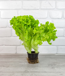 Similar image 21872080